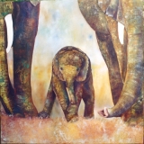2006-elephants-2
