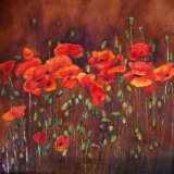 2010-Coquelicots